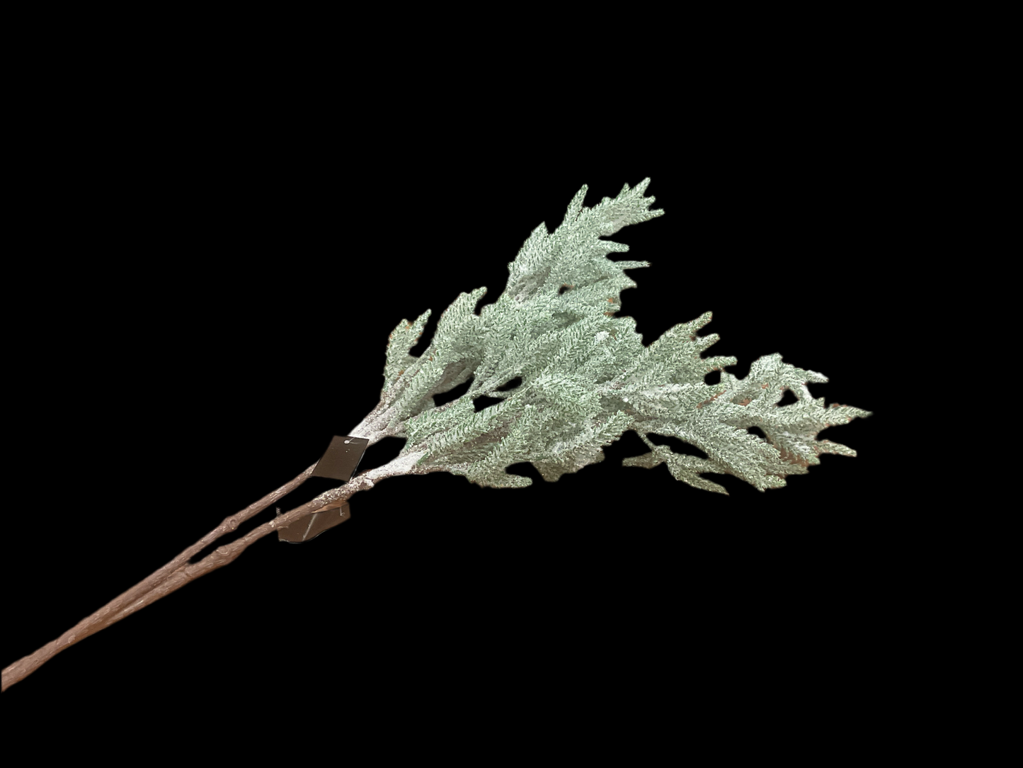 Snowy Pine Stem