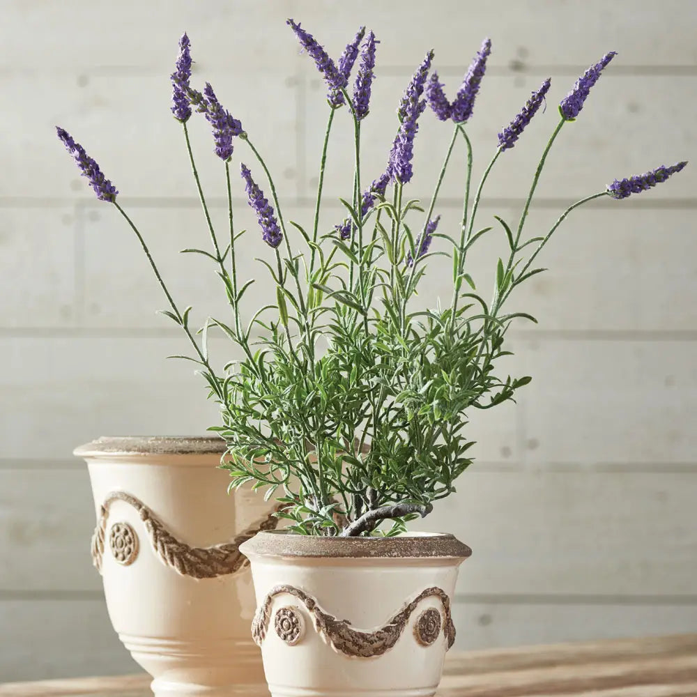 French Lavender Drop In