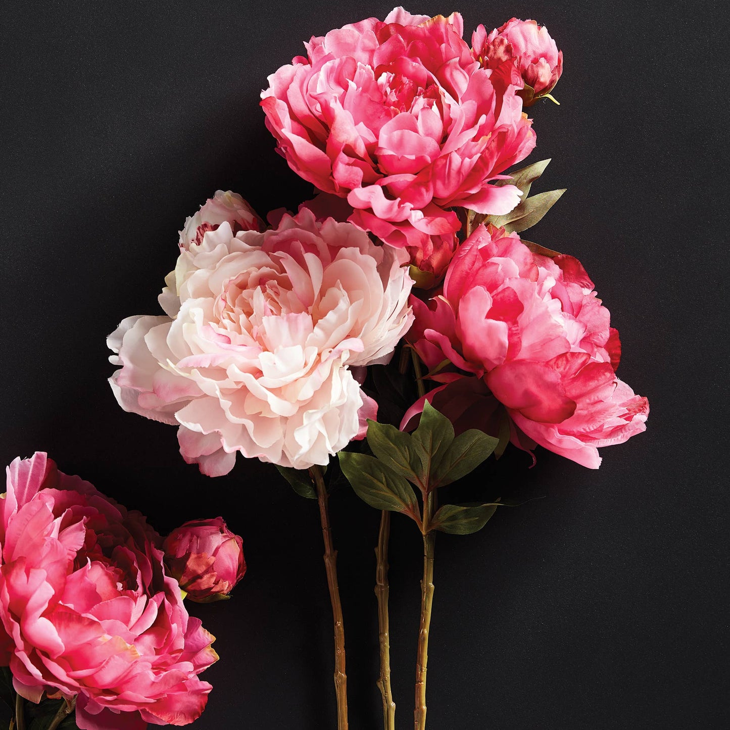 Peony Stem 21", Pink