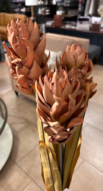 Ginger 3 Flower Stem