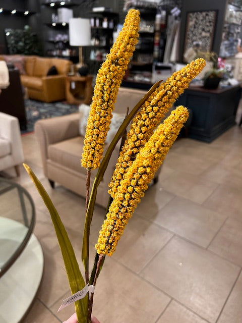 Rice Flower Stem Yellow