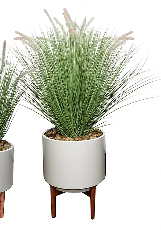 Fountain Grass with Stand, Large