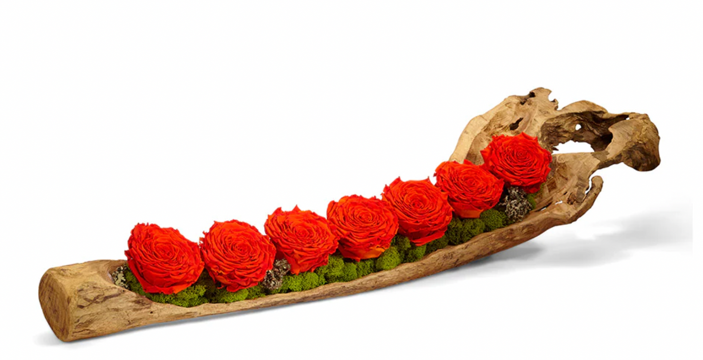 Roses in Wood Log Orange