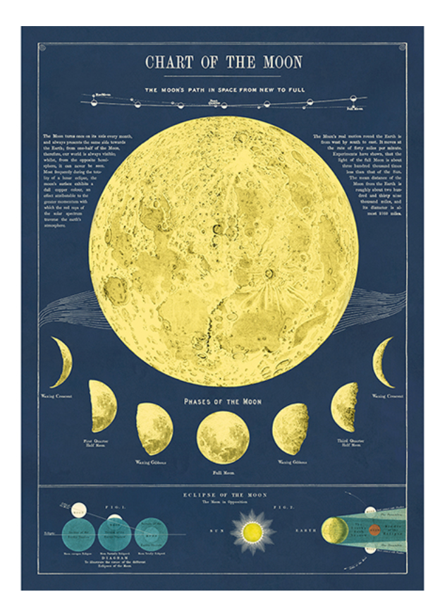 Moon Chart Wrap