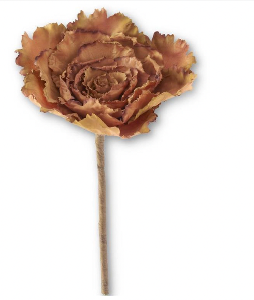 12" Cabbage Pick
