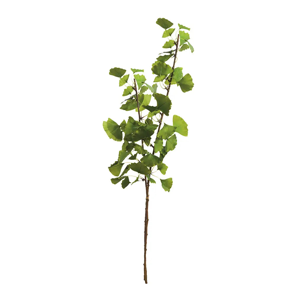 Ginko Branch 40", Bundle of 2