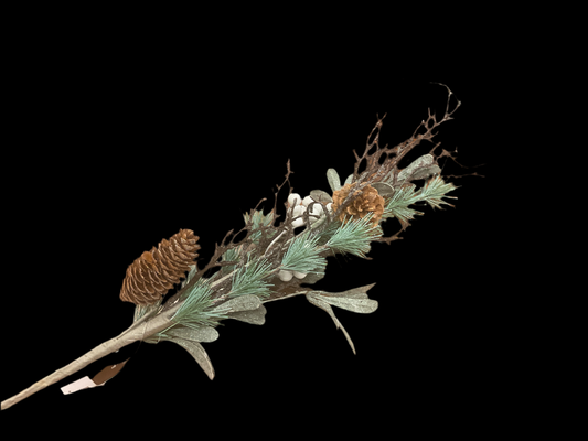 Winter Stem