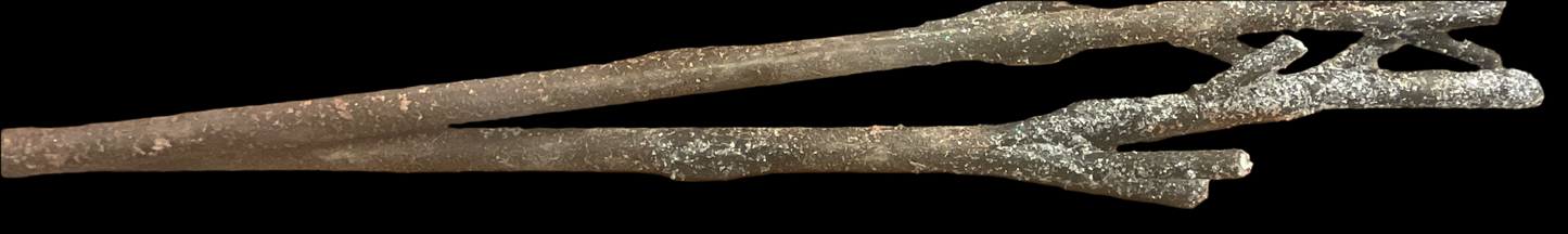 Birch Branch Brown