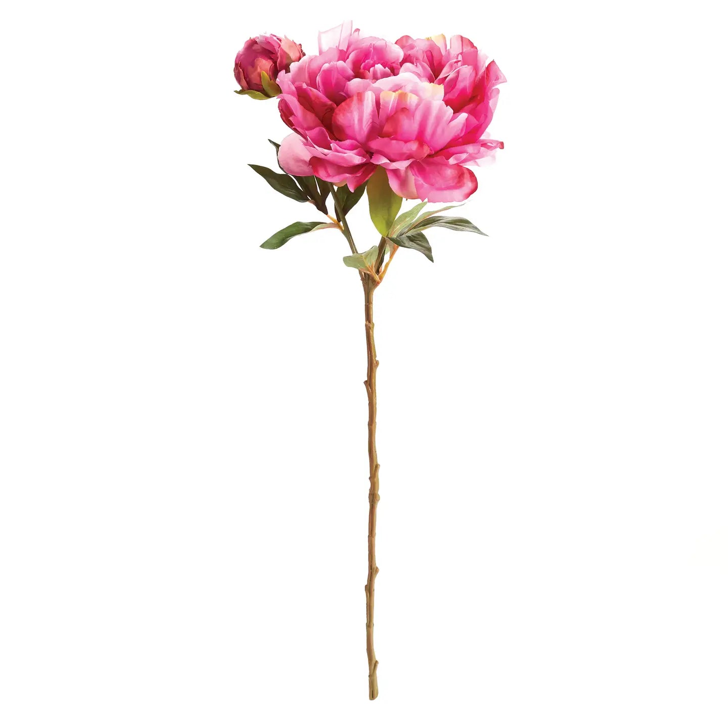 21" Peony Stem