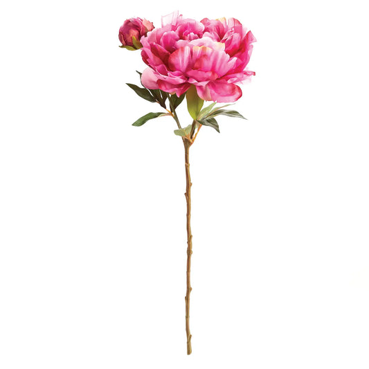 21" Peony Stem