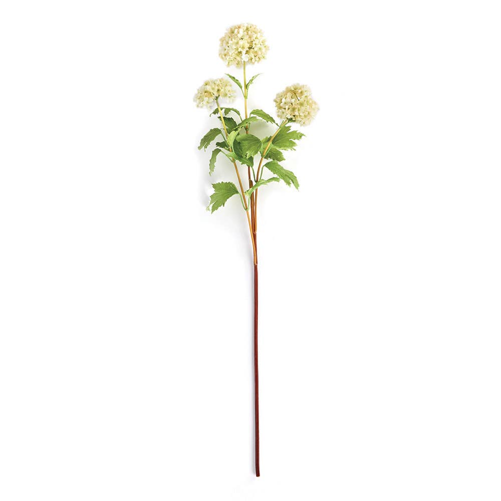 Viburnum Stem 30"