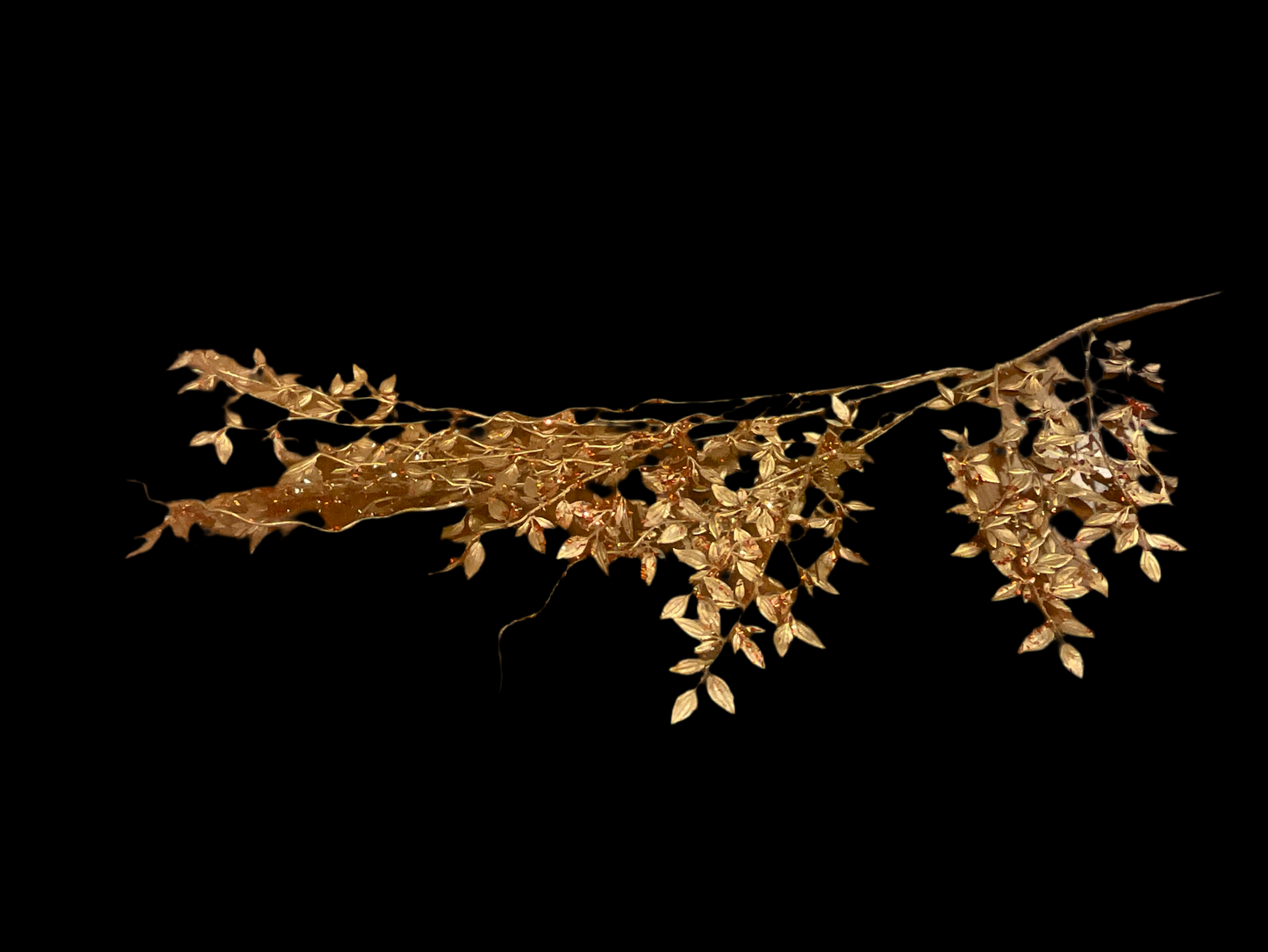 Red Ivy Stem