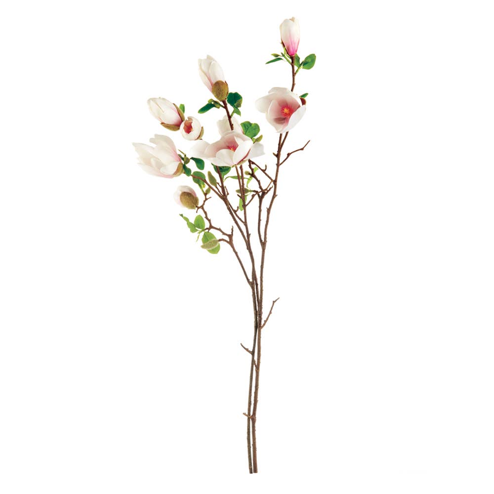 Japanese Magnolia Blossoms 37", Bundle Of 2