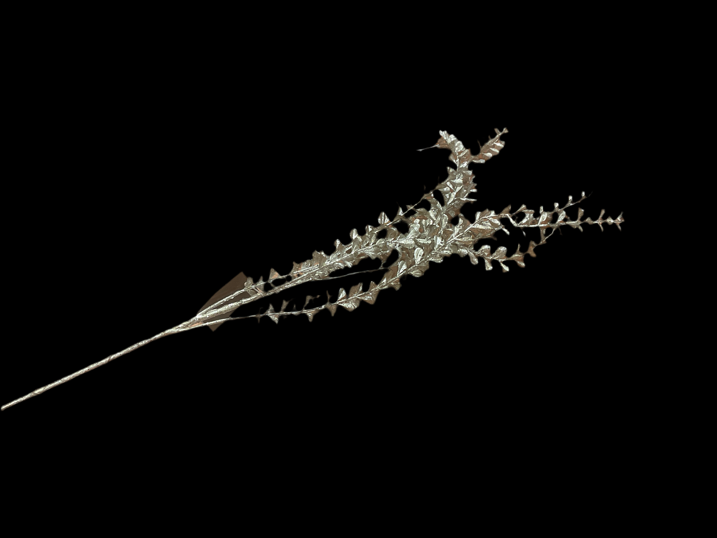 Silver Fern Stem