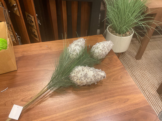 3 Pinecone Stem