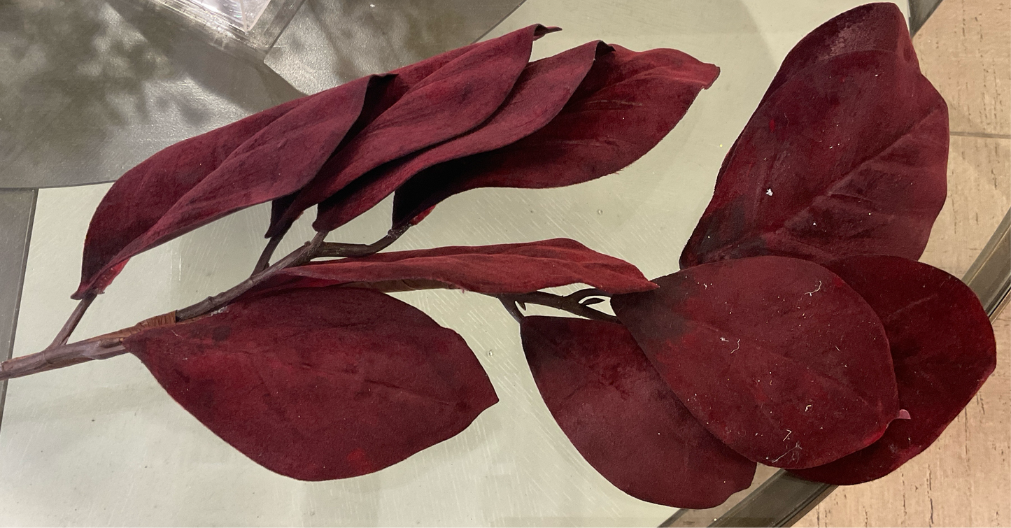 Red Velvet Magnolia Stems