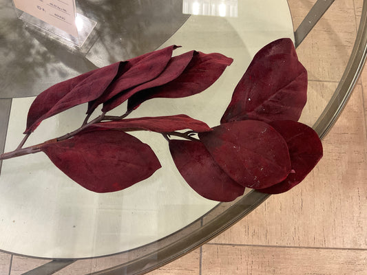 Red Velvet Magnolia Stems