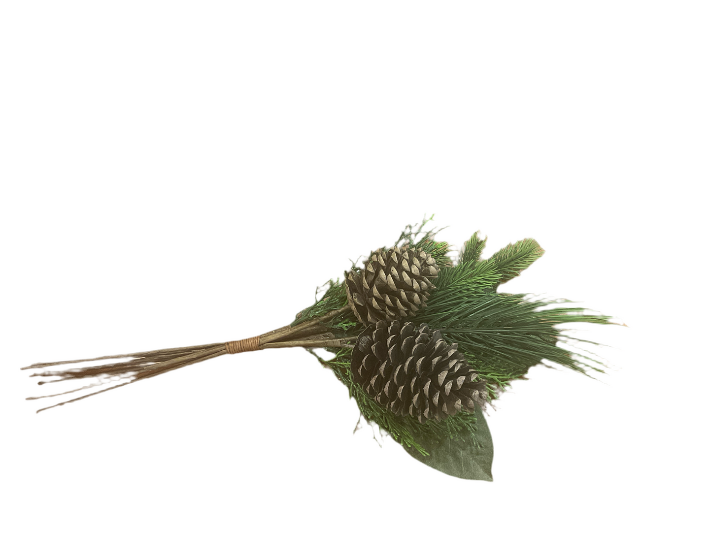 Pine/Pinecone Swag