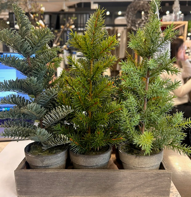 Small Pine Trees Set of 6