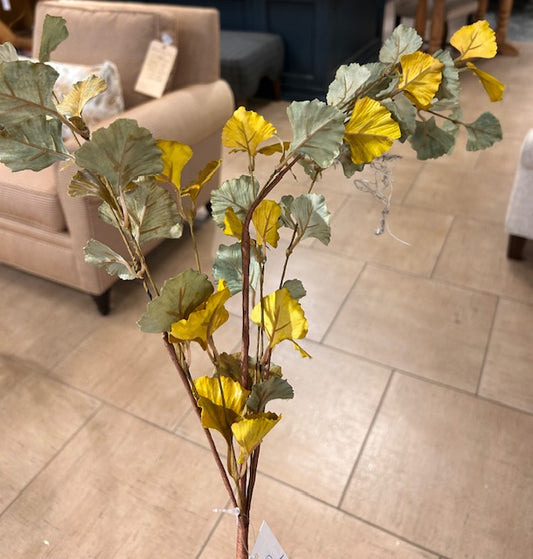 Fall Gingko Stem