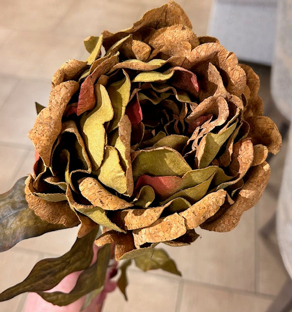 Fall Peony
