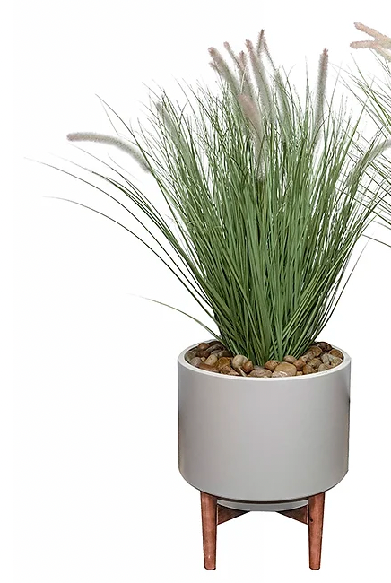 Fountain Grass with Stand, Small