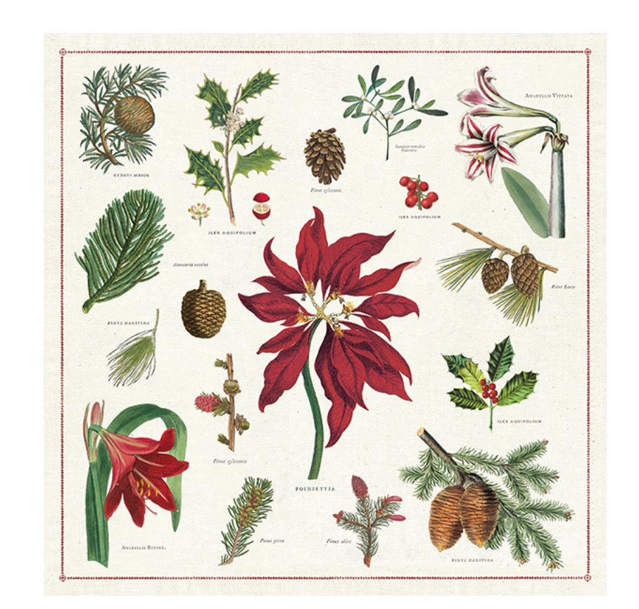 Christmas Botanical Napkins S/4