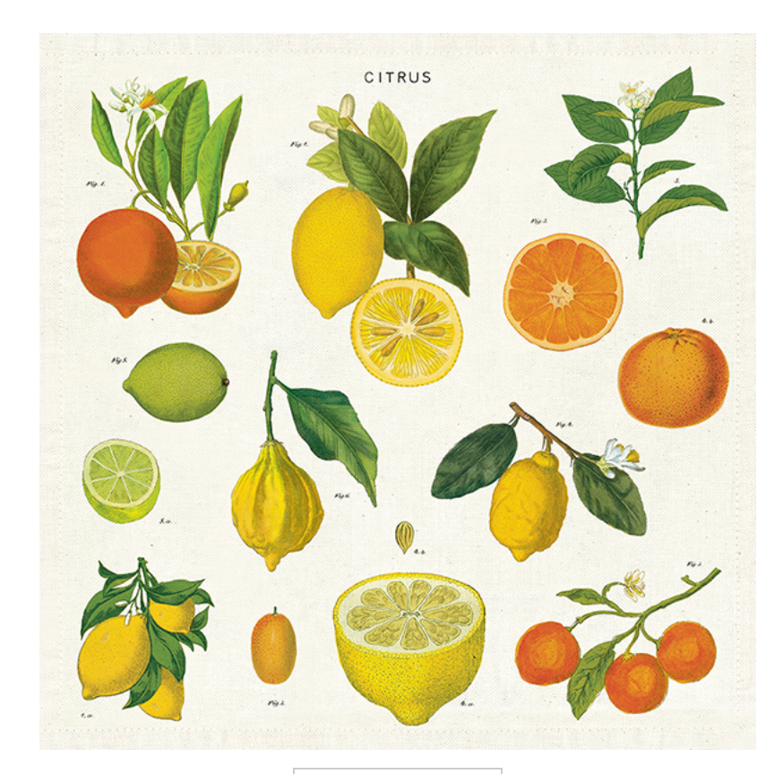 Citrus Napkins S/4