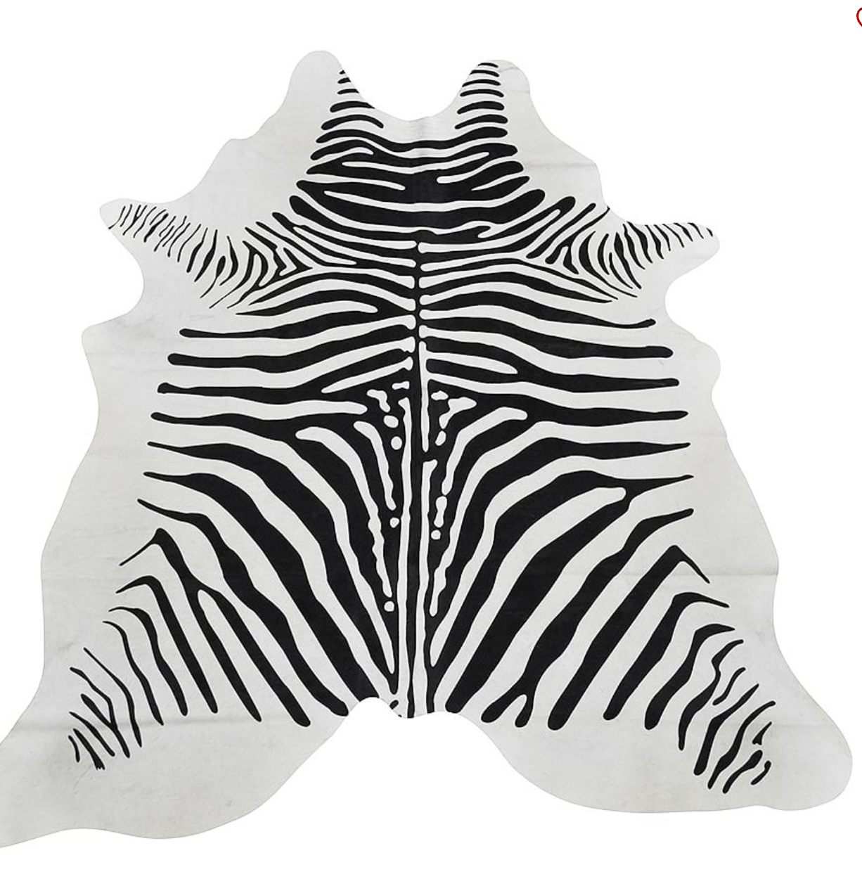 Zebra Hair on Hide