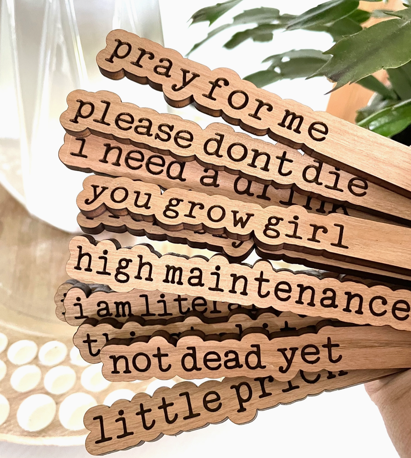 Punny Plant Sticks