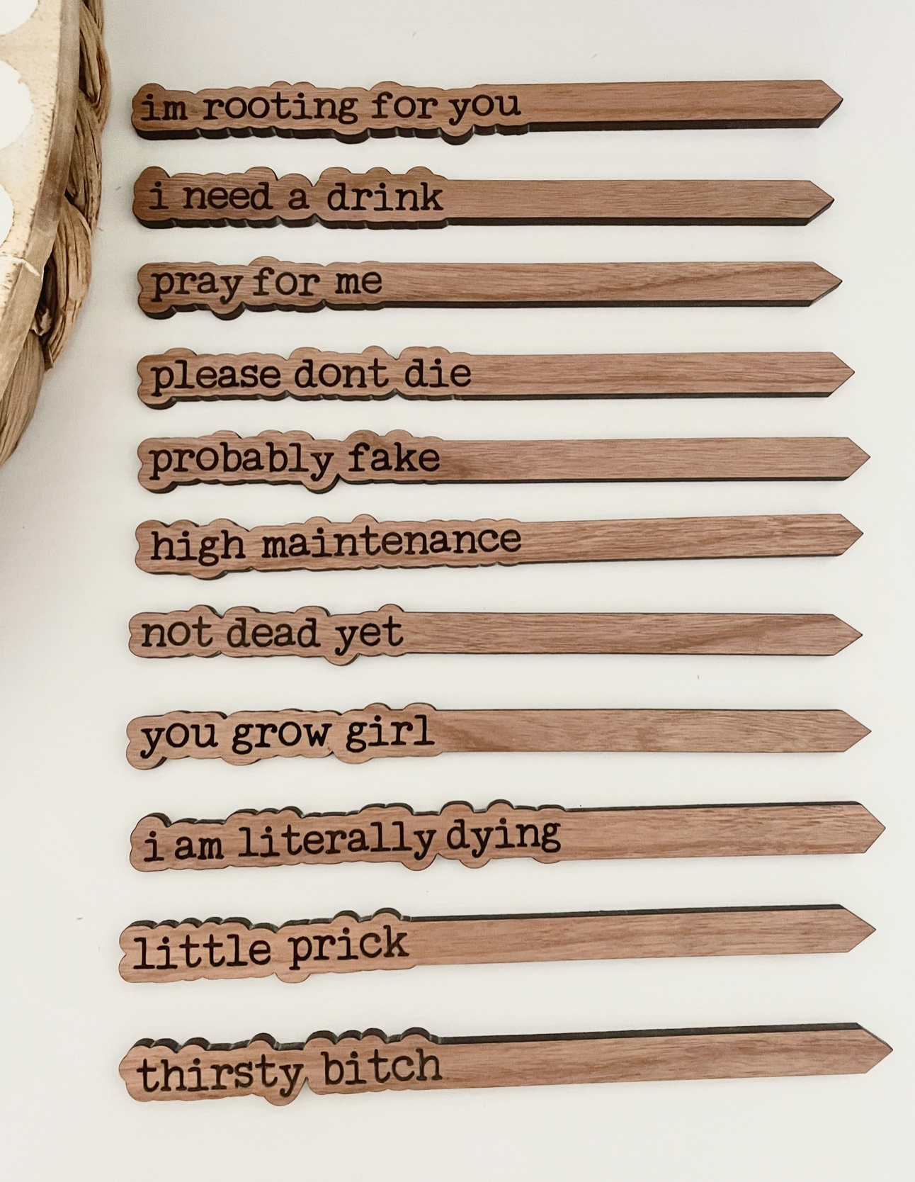 Punny Plant Sticks