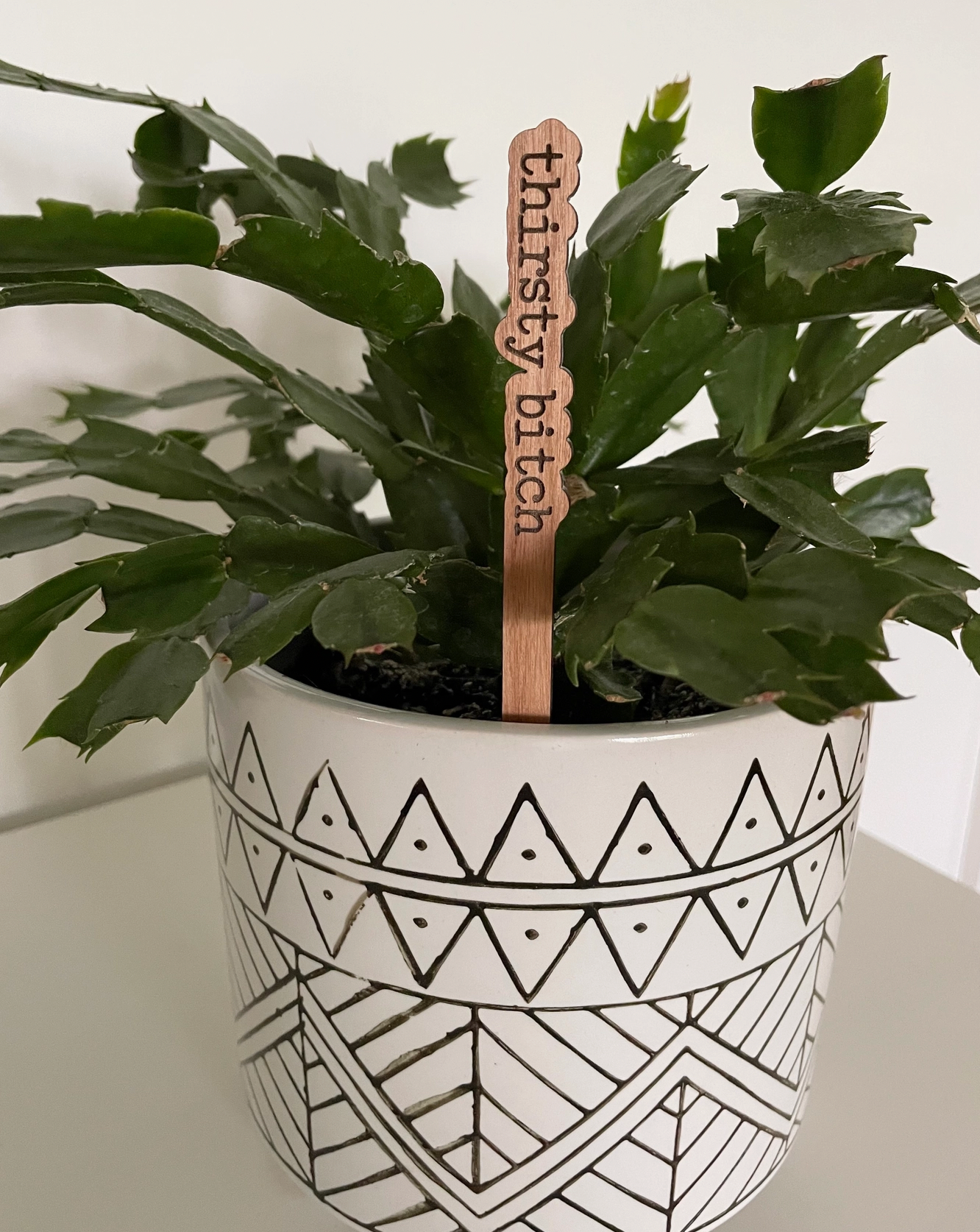 Punny Plant Sticks