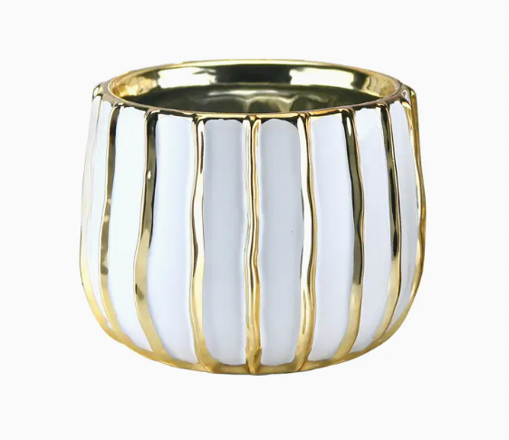 6" diameter  x 5" H White/Gold Pot