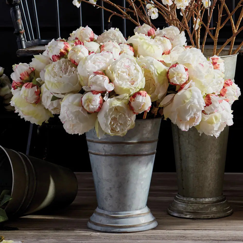 Peonies- Bundle of 3