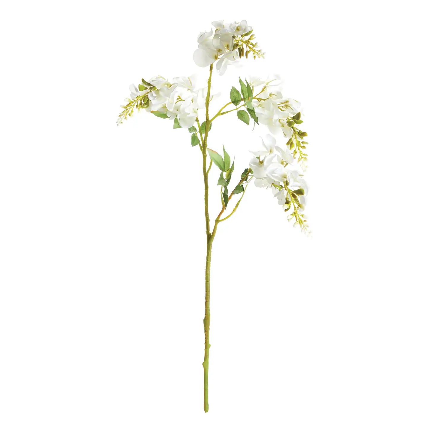 24" White Wisteria Stem