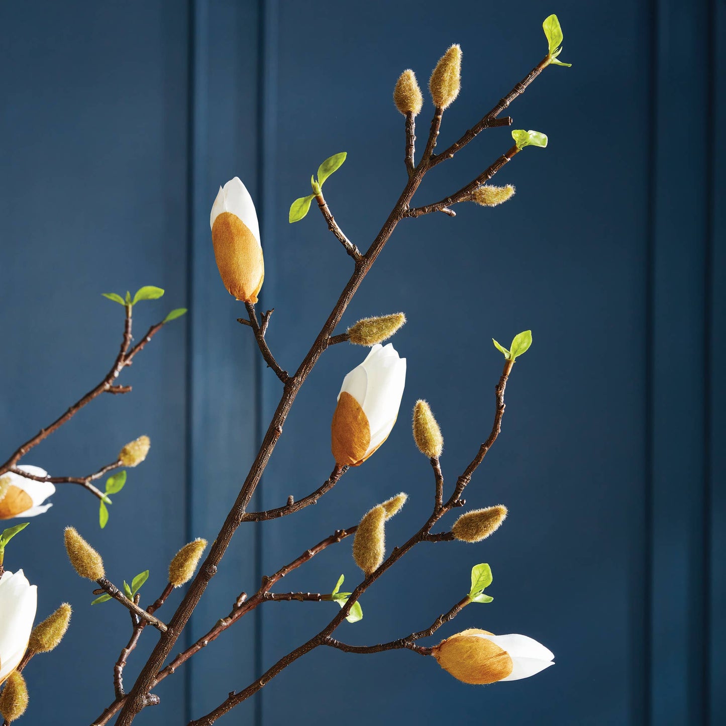 Magnolia Budding Branch
