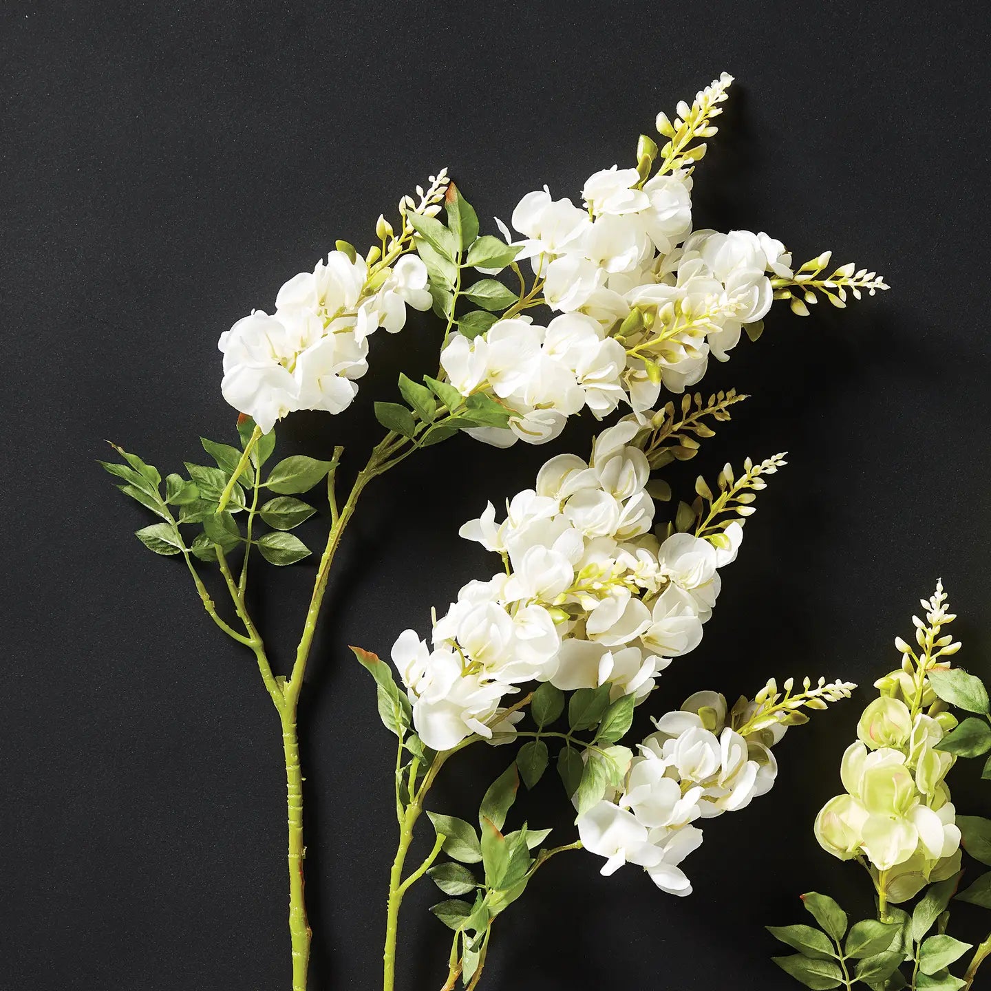24" White Wisteria Stem