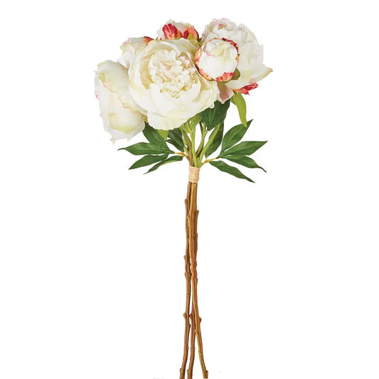Peonies- Bundle of 3