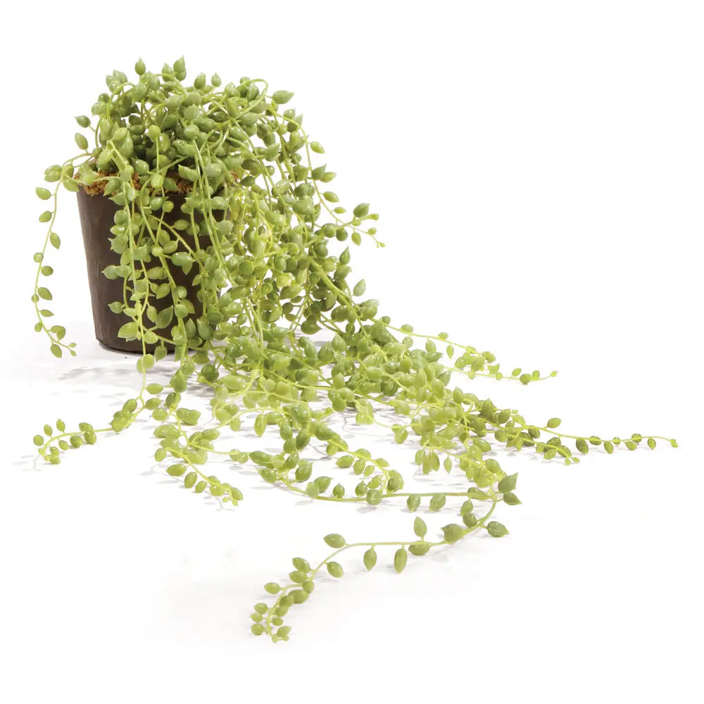 String of Pearls- Drop in 17"