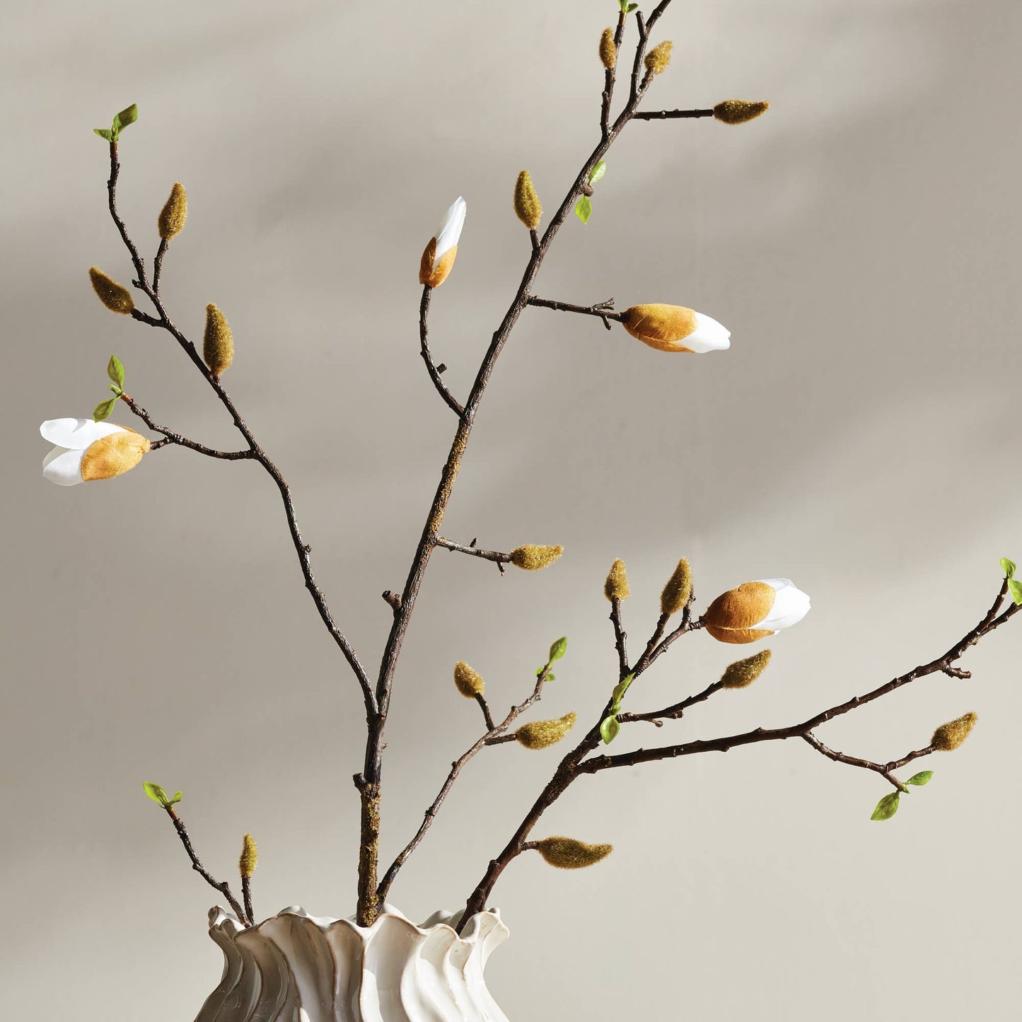 Magnolia Budding Branch