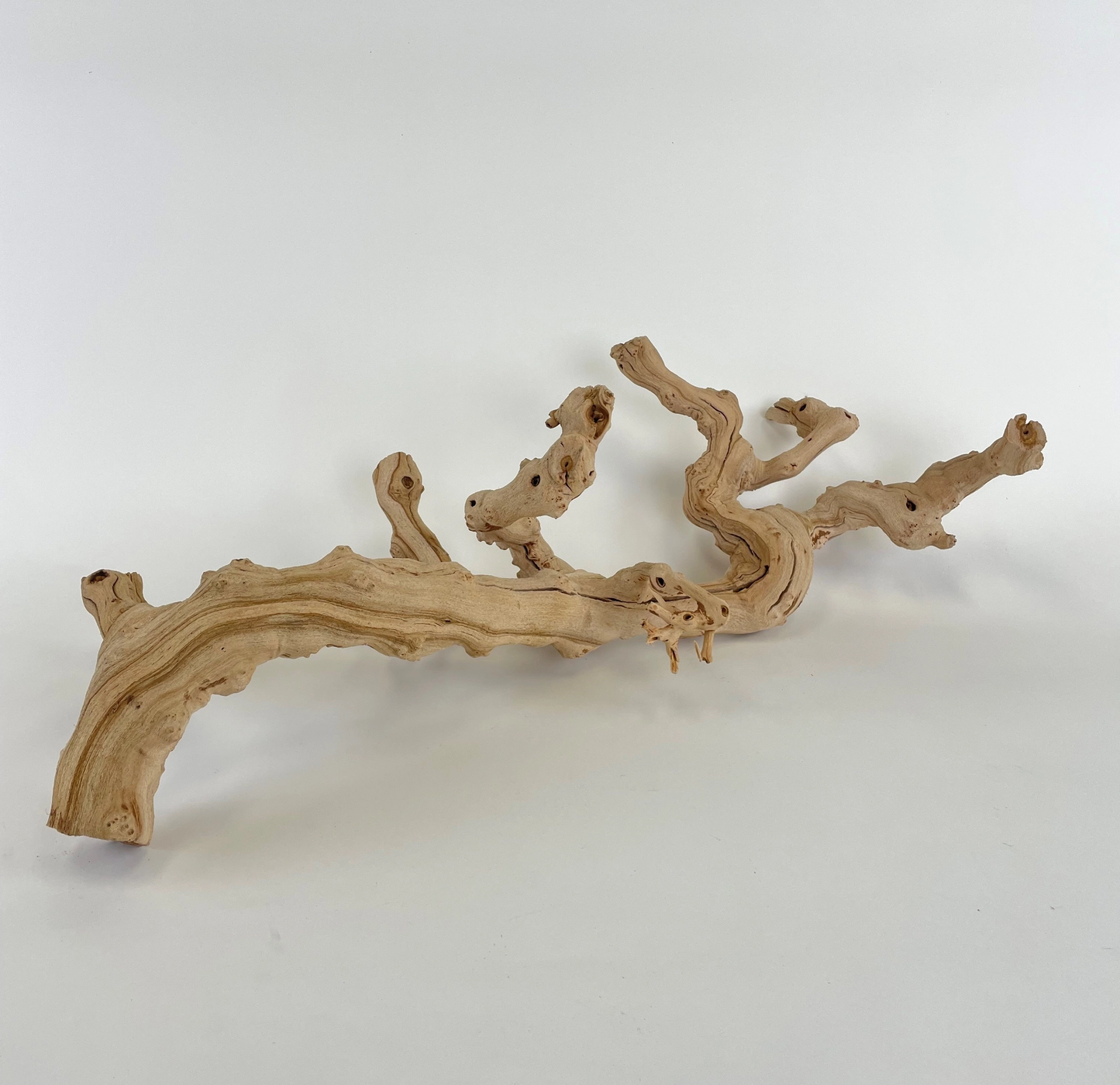 Sandblasted Grapewood 24"